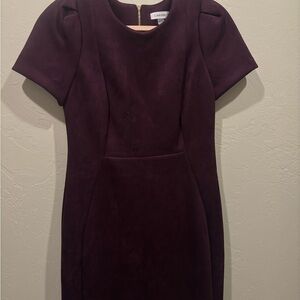 Calvin Klein Women's Dark Purple Sueded Pencil Dress